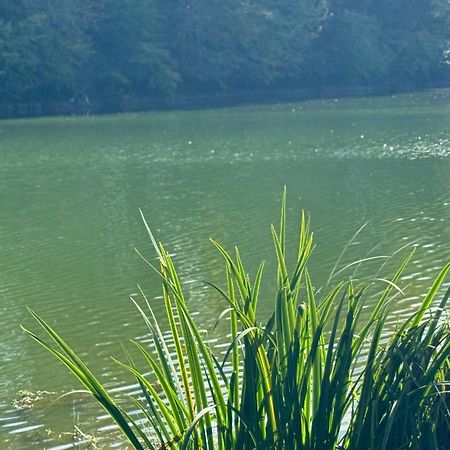Lac De Lumiere. Relax With Rural Lakeside Living Herry Bagian luar foto